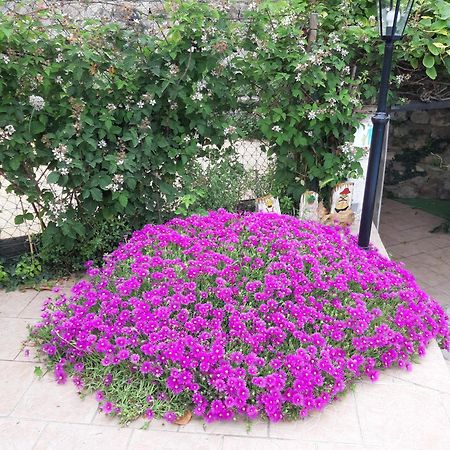 דירות Les Mages Les Ecrins מראה חיצוני תמונה